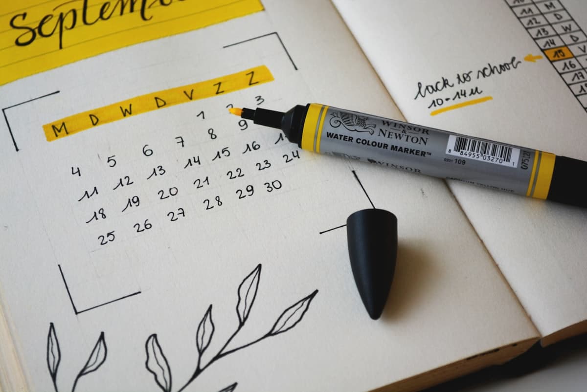 Appointment calendar for live scheduling support
